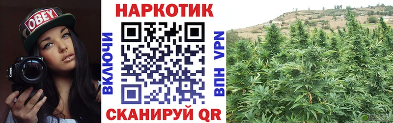 Наркота Старая Купавна А ПВП  Бошки Шишки  Мефедрон  Псилоцибиновые грибы  КОКАИН  МЕТАДОН  ГАШ 