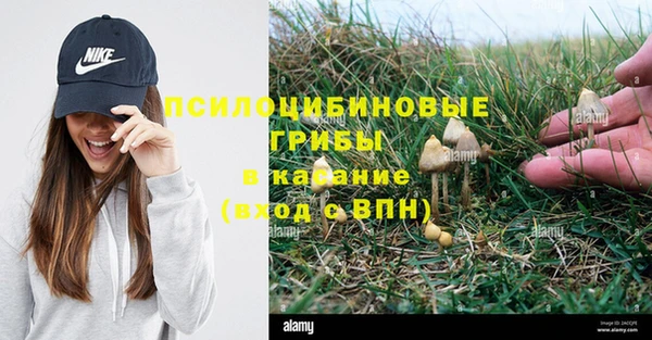 кристаллы Алексеевка