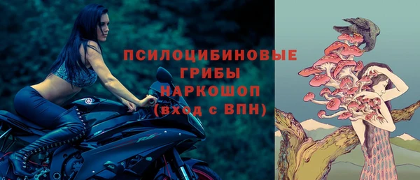 спиды Алзамай