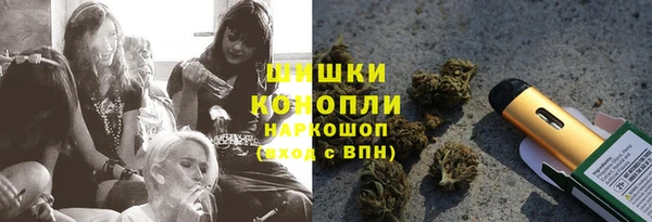 сатива Абдулино