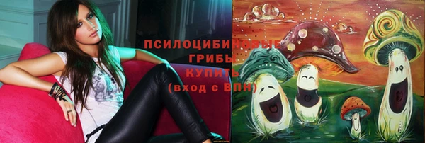 спиды Алзамай